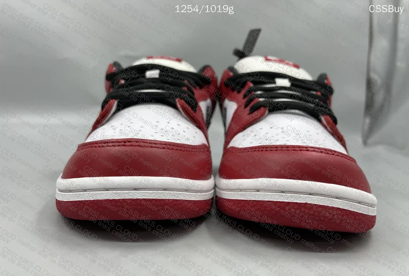 dunk sb chicago 5