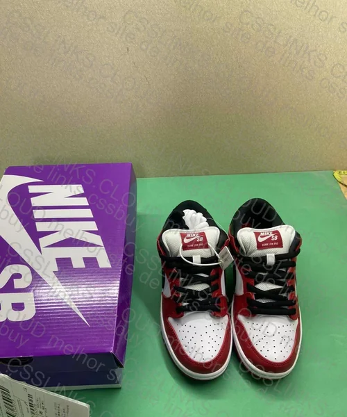 Dunk SB Chicago