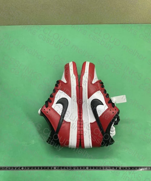 Dunk SB Chicago 2