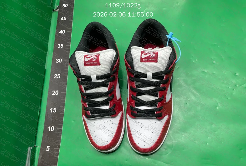 Dunk SB Chicago 2