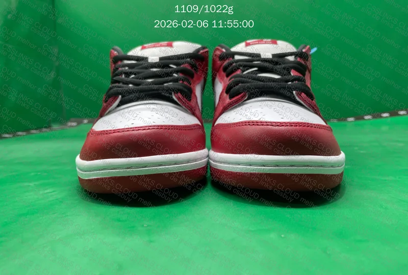 Dunk SB Chicago 4