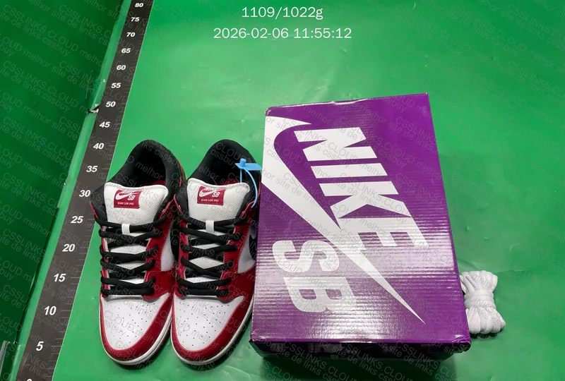 Dunk SB Chicago 5