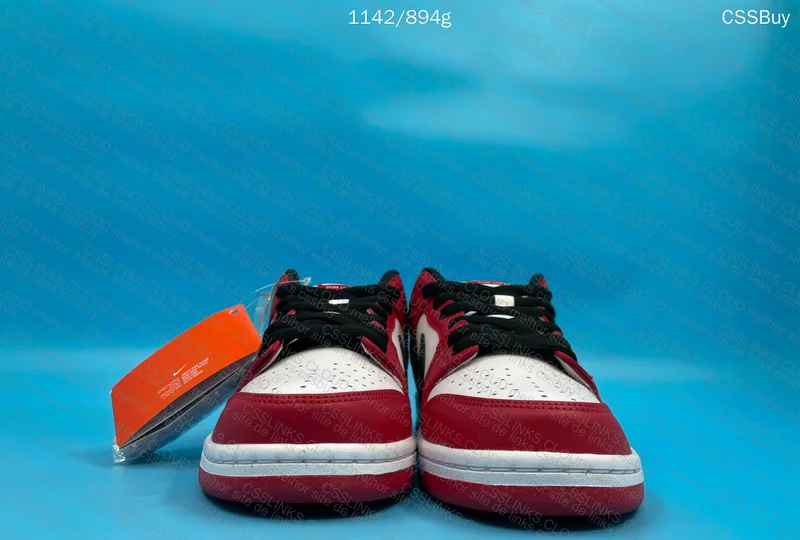 Dunk SB Chicago (GL??) 6