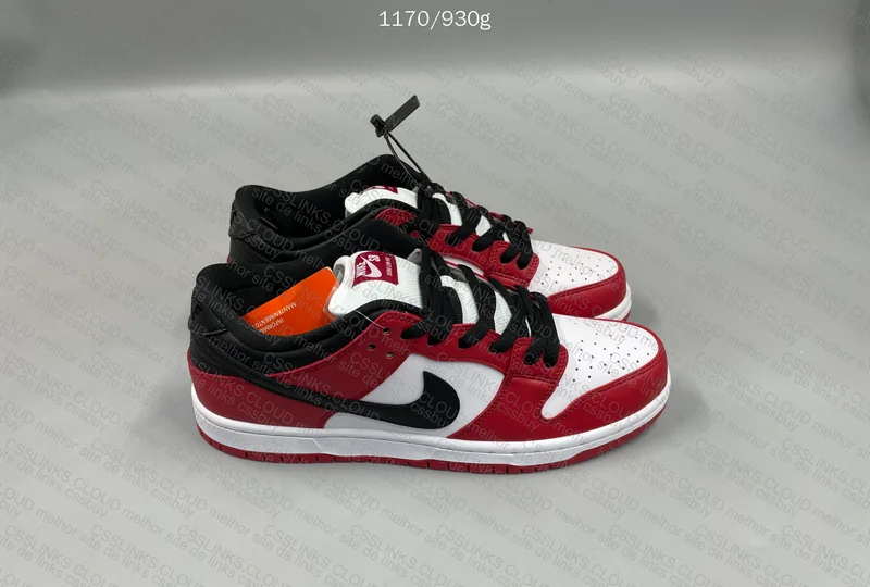 DUNK SB CHICAGO LOW GL? 5