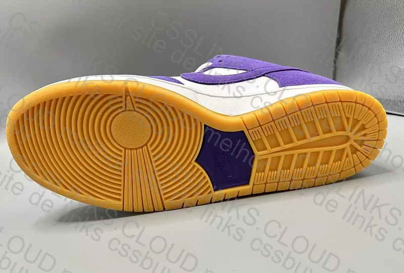 Dunk SB Court Purple 4