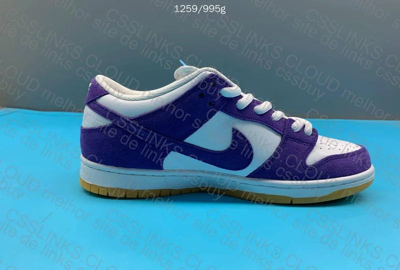 Dunk SB Court Purple 2