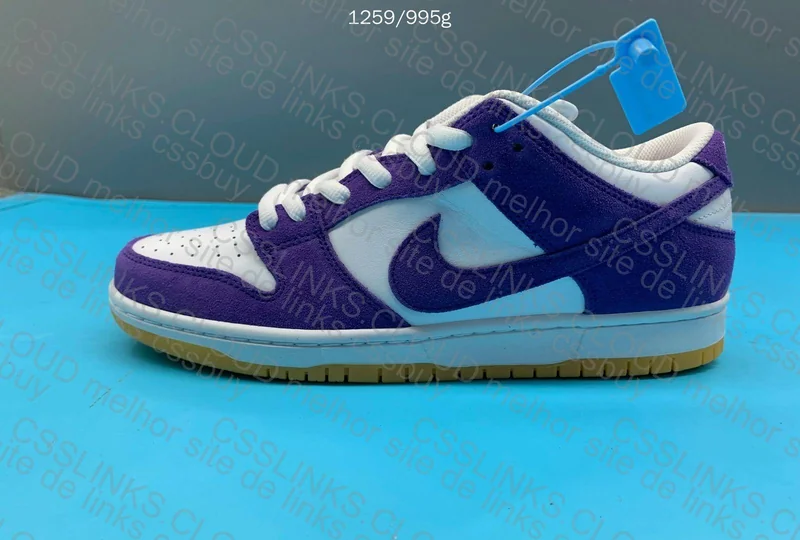 Dunk SB Court Purple 3