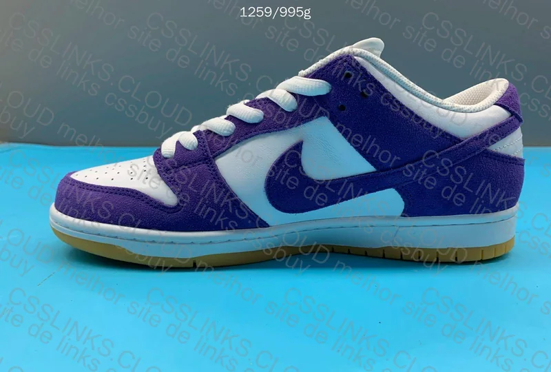 Dunk SB Court Purple 5