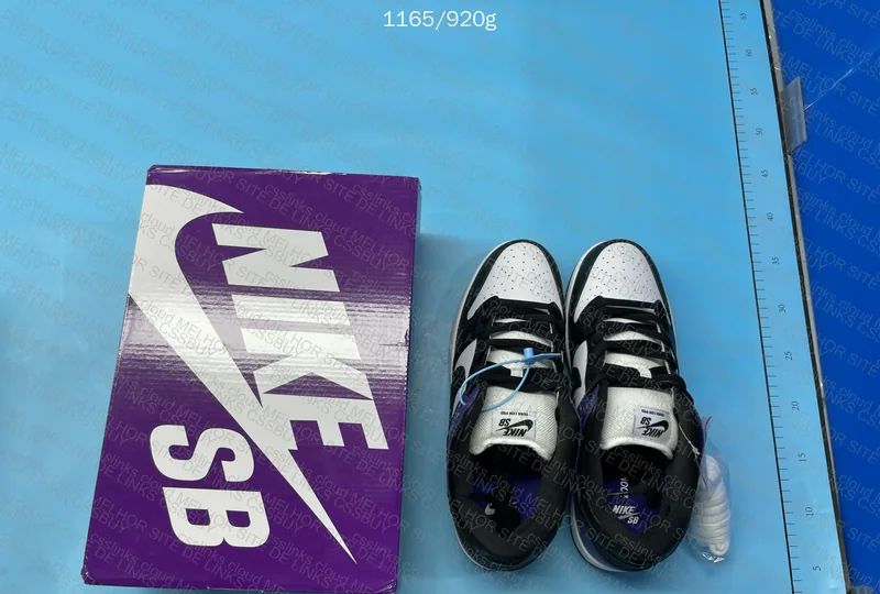 Dunk SB Court Purple 10