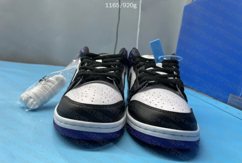 Dunk SB Court Purple 2
