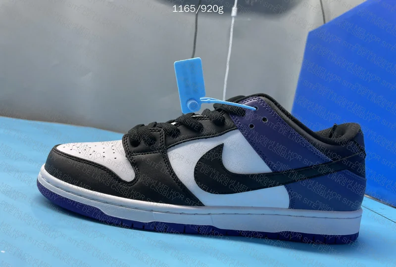 Dunk SB Court Purple 5