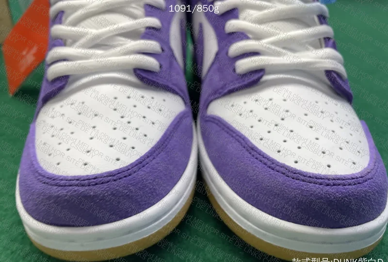 Dunk SB Court Purple 3