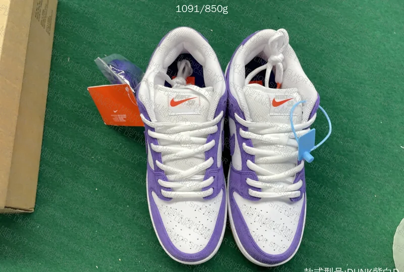 Dunk SB Court Purple 4