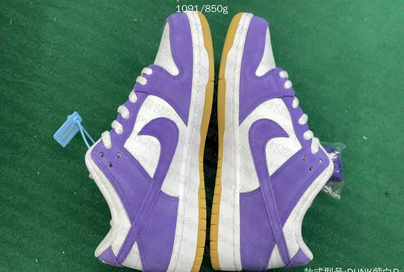 Dunk SB Court Purple 5