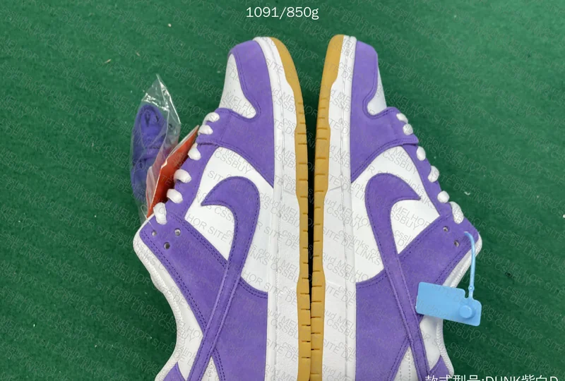 Dunk SB Court Purple 6