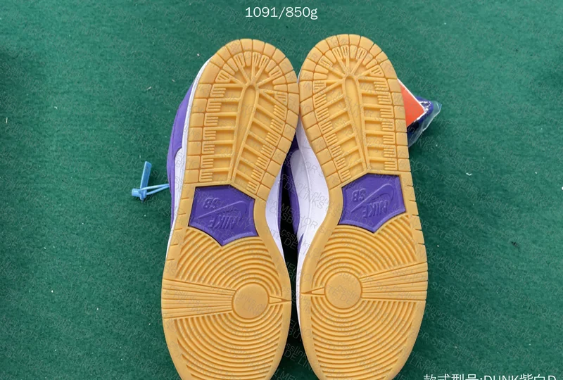 Dunk SB Court Purple 7