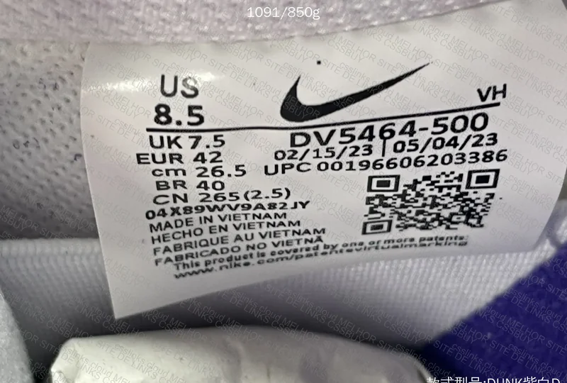 Dunk SB Court Purple 8