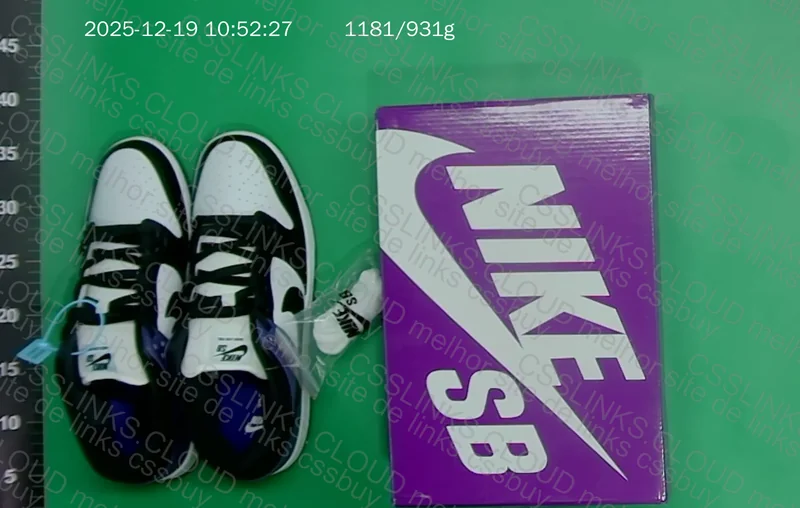 Dunk SB Court Purple Pro J Pack 5