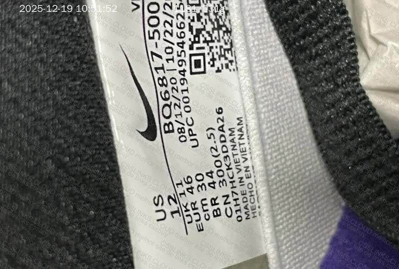 Dunk SB Court Purple Pro J Pack 8
