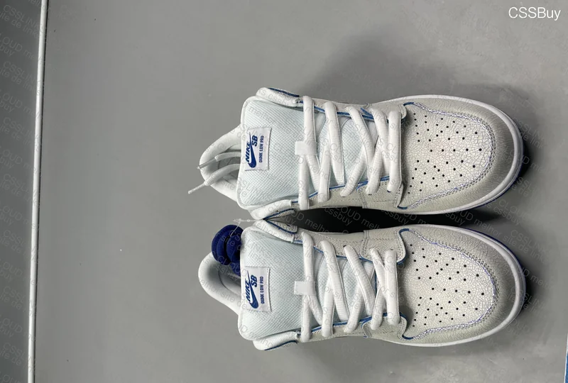 DUNK SB cracked leather 2