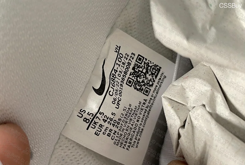 DUNK SB cracked leather 6
