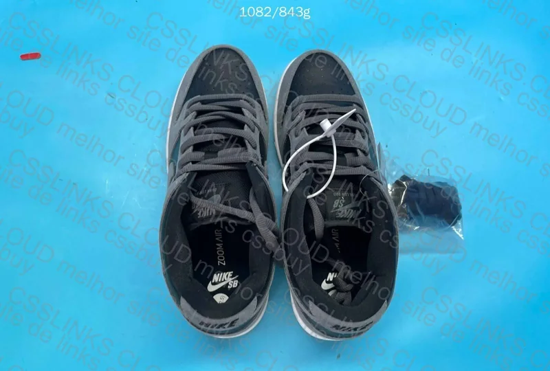 Dunk SB Dark Grey 7