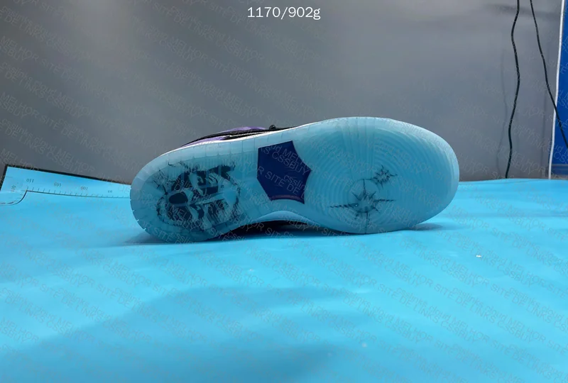 Dunk SB Hayley Wilson Court Purple 4