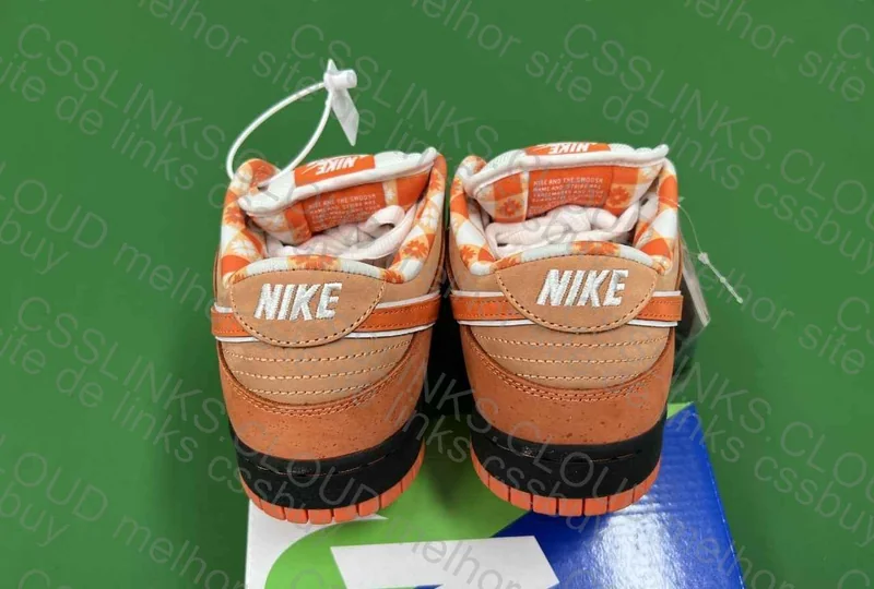Dunk Sb Lobster Orange 3