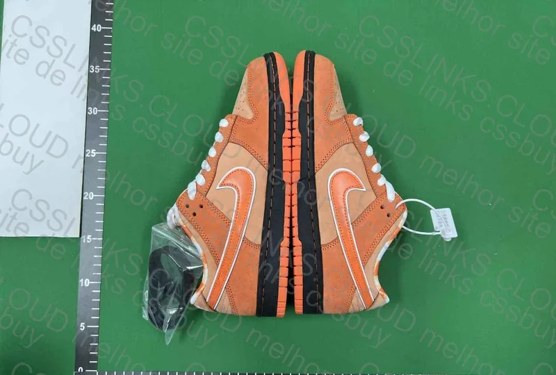 Dunk Sb Lobster Orange 4