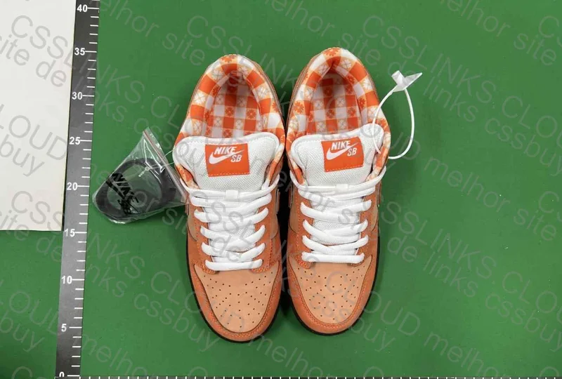 Dunk Sb Lobster Orange 5