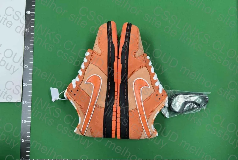 Dunk Sb Lobster Orange 6