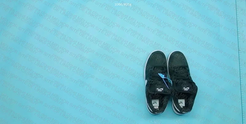 Dunk SB Low Pro 2