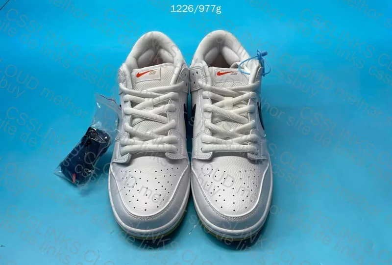 Dunk SB Orange Label 2