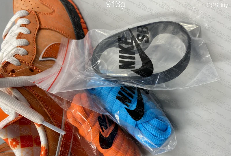 Dunk SB Orange Lobster 6