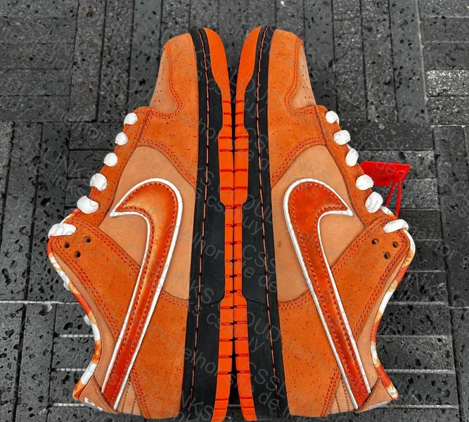 Dunk sb orange lobster 2