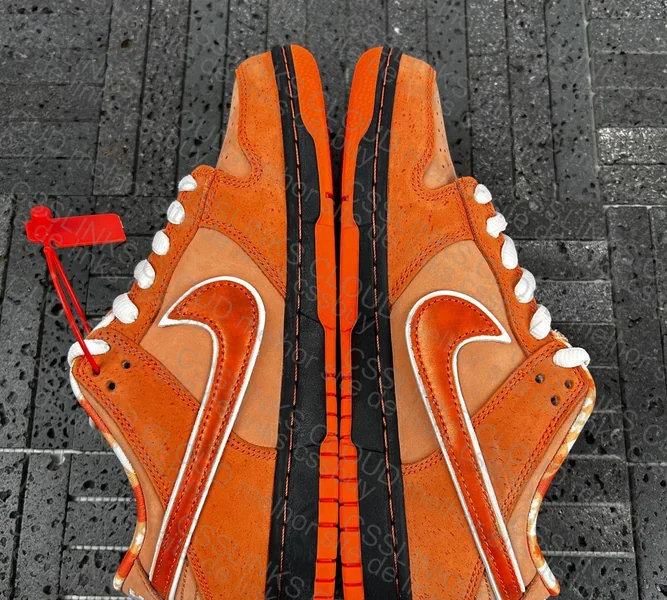 Dunk sb orange lobster 3