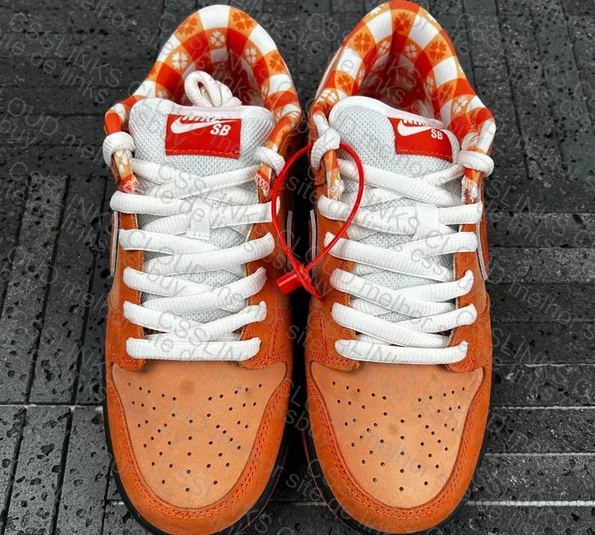 Dunk sb orange lobster 7