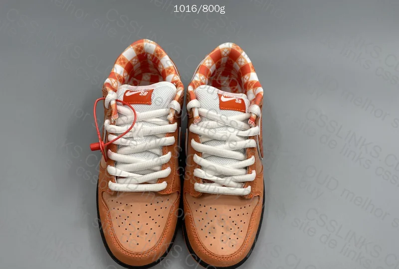 Dunk Sb Orange Lobster
