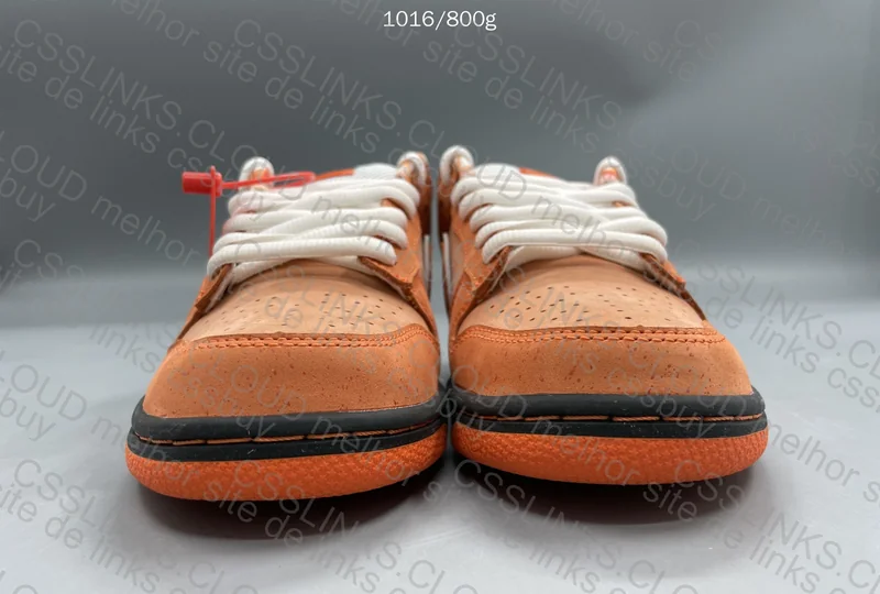 Dunk Sb Orange Lobster 2