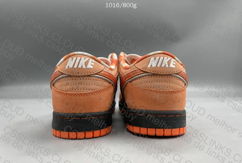 Dunk Sb Orange Lobster 3