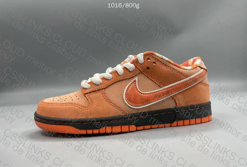 Dunk Sb Orange Lobster 5