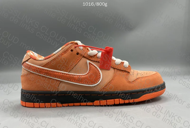 Dunk Sb Orange Lobster 7