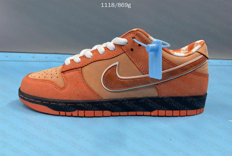 Dunk SB Orange Lobster 6