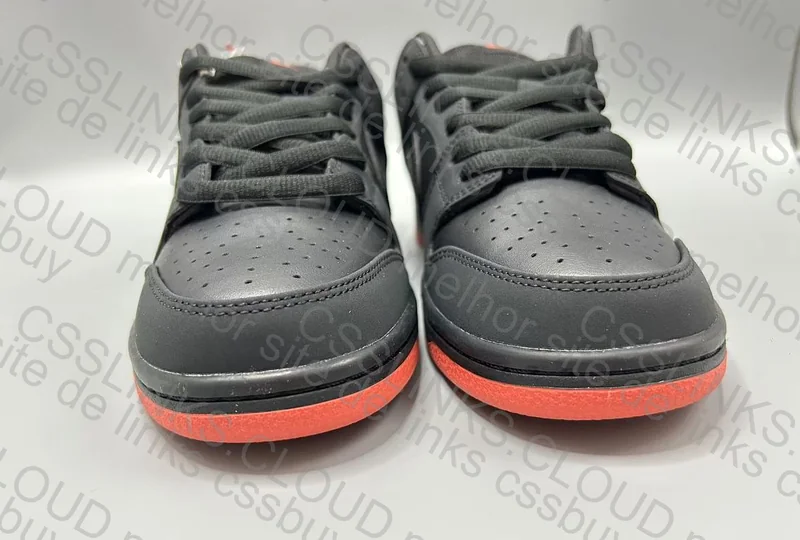 Dunk SB Pigeon Black 6