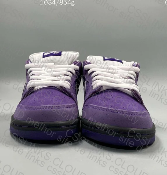 dunk sb purple lobster 4