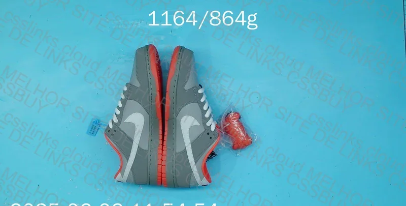 Dunk SB Staple NYC Pigeon new vt 2