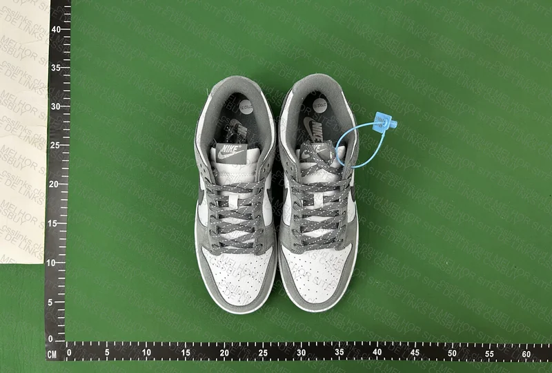 Dunk Smoke Grey Gum 5