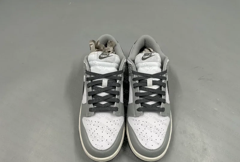 Dunk Smoke Light Grey 2