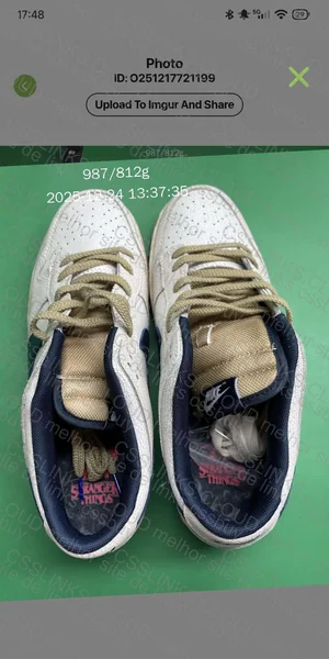 Dunk Stranger Things 2