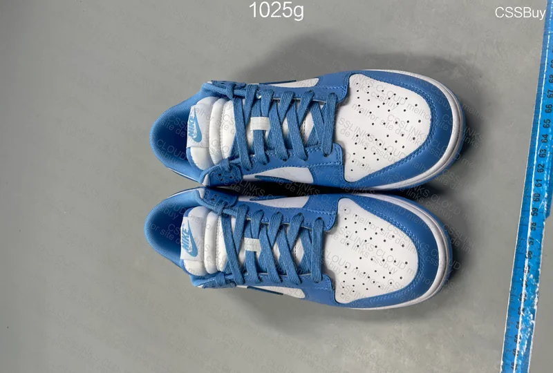 Dunk University Blue 5
